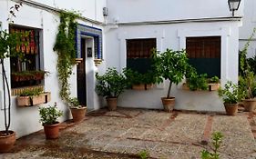 El Patio De La Aljama